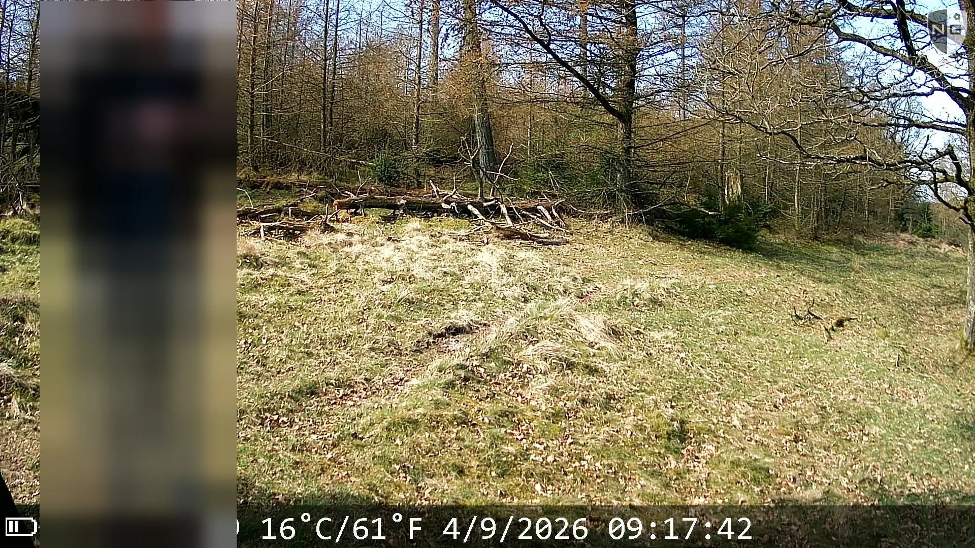Camera trap capture in which a person stays unrecognizable